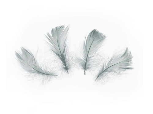 Dekoratív szürke rövid tollak - 50 db.