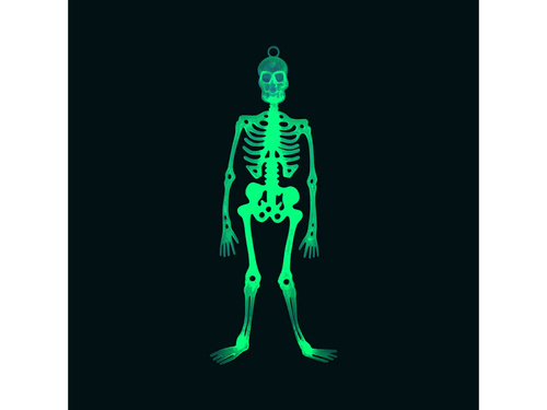 Akasztós dekoráció Csontváz - 33 cm - 1 db.