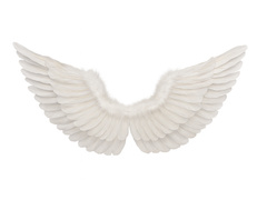 Fehér angyalszárnyak - cm - 1 db.