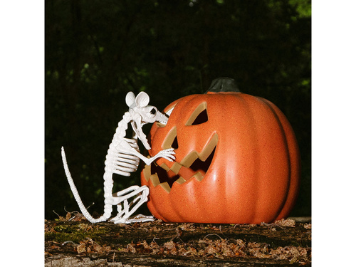 Patkány csontváz dekoráció - 18 cm - 1 db.