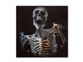 Halloween csontváz szalvéták - 33 cm - 20 db.