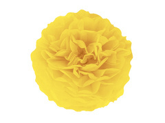 Függő pom pom virág dekoráció - sárga - 35 cm - 1 db.