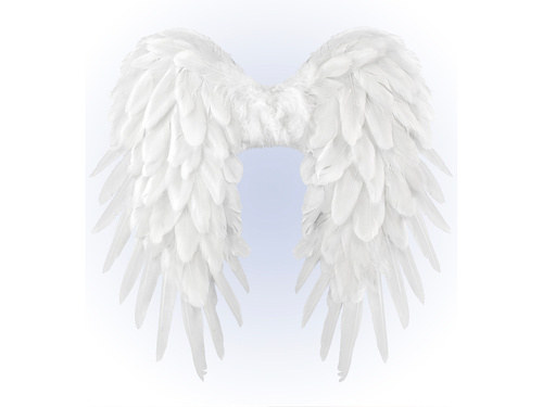 Fehér angyalszárnyak - 50 x 50 cm - 1 db.