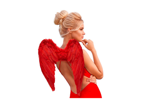 Vörös tollszárnyak 50×40 cm