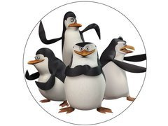 Dekoratív torta ostya Madagaszkári pingvinek - 20 cm