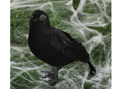 Fekete varjú - 25 cm