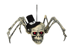 Halloween pók koponya - 1 db.