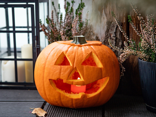 Tökfaragó készlet - 1 kpl.