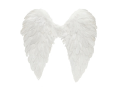 Fehér angyalszárnyak - cm - 1 db.
