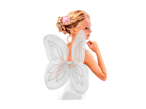 Fehér szárnyak 58×46 cm