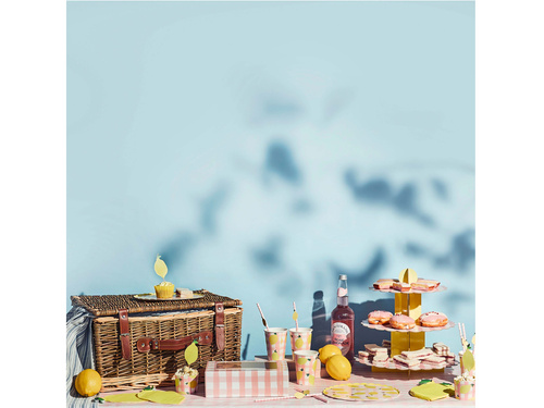 Limonádé banner - 250 cm - 1 db.