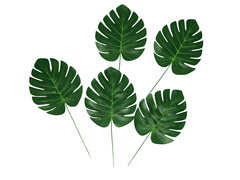 Monstera levél dekoráció - 5 db.