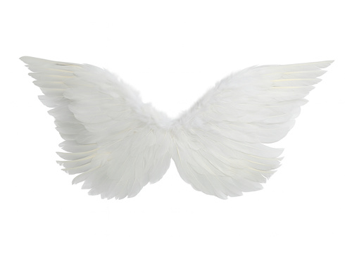 Fehér angyalszárnyak - cm - 1 db.
