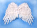 Fehér angyalszárnyak - 50 x 35 cm - 1 db.