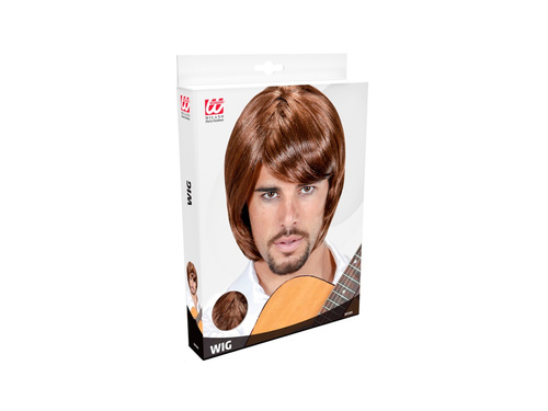 Bjorn paróka, 70-es évekbeli popsztár.