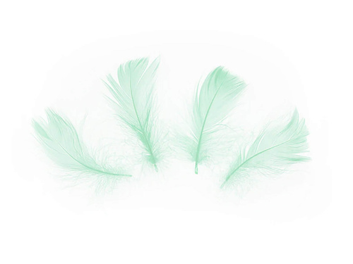 Dekoratív zöld rövid tollak - 50 db.