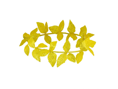 Cézár babérkoszorú - 1 db.