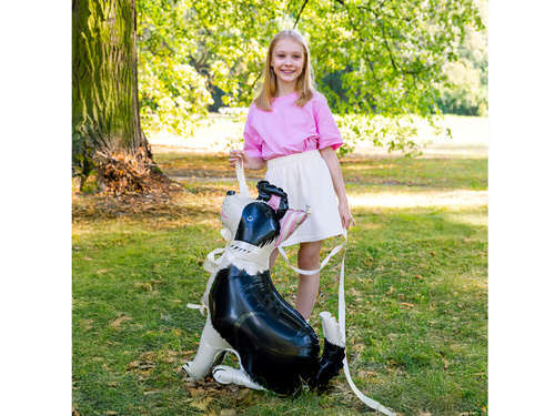 Border Collie kutya álló fólialufi - 76x92 cm - 1 db.