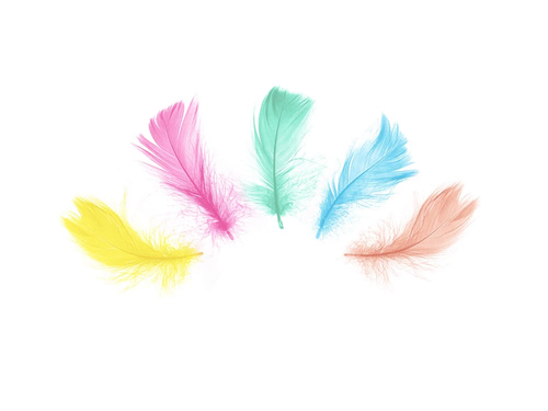 Dekoratív tollak mix színek rövid - 50 db.