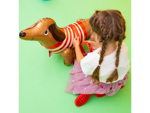 Fólialufi tacskó - 68 x 43 cm - 1 db.