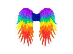 Szivárványos összecsukható tollszárnyak 50×50 cm