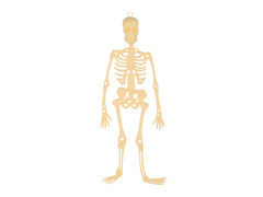 Akasztós dekoráció Csontváz - 33 cm - 1 db.