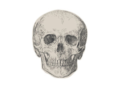 Czacha papírszalvéta - 16 x 16 cm - 16 db.