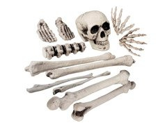 Koponya kocka készlet - 12 darab.