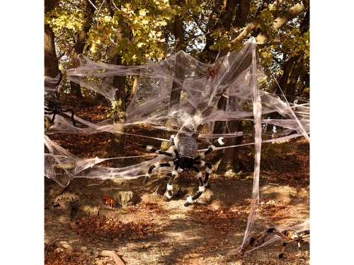 Szőrös pók - 50 x 70 cm - 1 db.