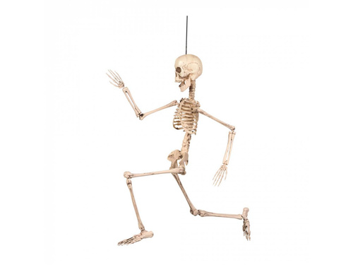 Akasztós dekoráció Csontváz - 50 cm - 1 db.