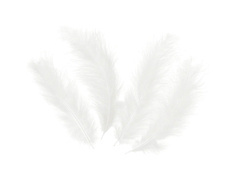 Dekoratív fehér hosszú tollak - 50 db.