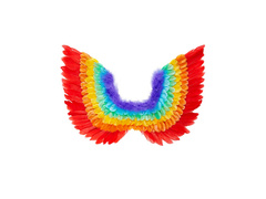 Szivárványos tollszárnyak 60×40 cm