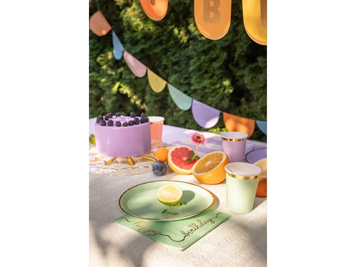 Pasztell papírpoharak - 220 ml - 6 db.