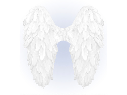 Fehér angyalszárnyak - 50 x 50 cm - 1 db.