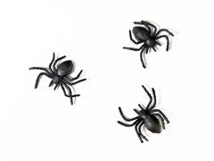 Fekete műanyag pókok Halloweenre - 10 db.
