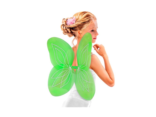 Zöld szárnyak 58×46 cm