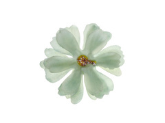 Zöld virágszirmok - 12 db.