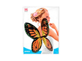 Fekete, narancssárga és sárga pillangószárnyak gyerekeknek 66×38 cm
