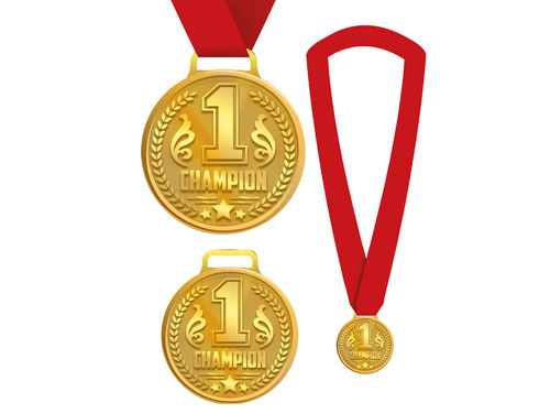 Bajnoki győztes érem - 1 db.