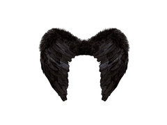 Fekete tollszárnyak 50×40 cm