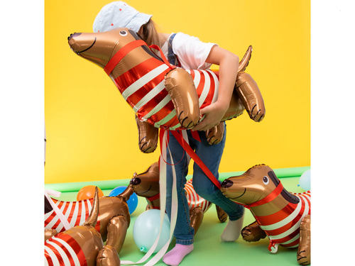 Fólialufi tacskó - 68 x 43 cm - 1 db.