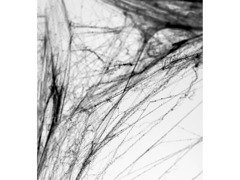 Fekete pókháló 2 pókkal - Halloween háló - 60g.