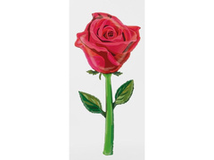 Piros rózsa fólialufi - 166 cm - 1 db.