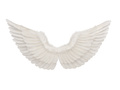 Fehér angyalszárnyak - cm - 1 db.
