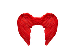 Vörös tollszárnyak 50×40 cm