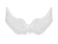 Fehér angyalszárnyak - cm - 1 db.