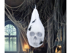 Koponya pókhálóban - 22x30 cm - 1 db.