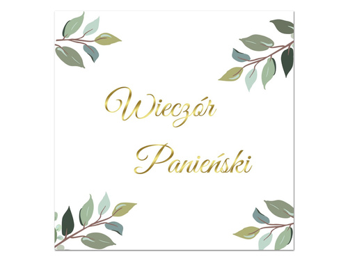 Csészék + szalvéták + papírtányérok készlet a Ladies' Night outhoz - 44 db.