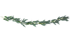 Fűzfalevél füzér - 200 cm - 1 db.