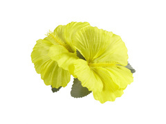 Hawaii virágos kitűző sárga - 1 db.